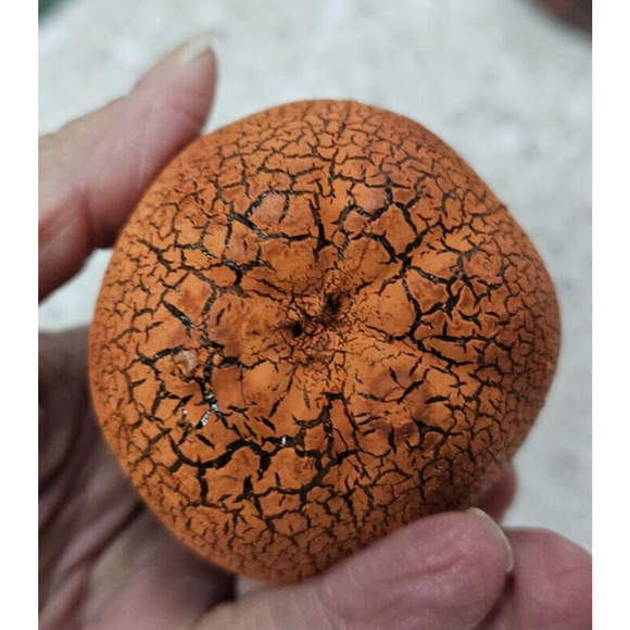 Set of 5 Primitive Rustic Leatherette 5" Aged HALLOWEEN Ghost Black Cat Witch - Picture 5 of 7